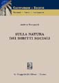 Sulla natura dei diritti sociali